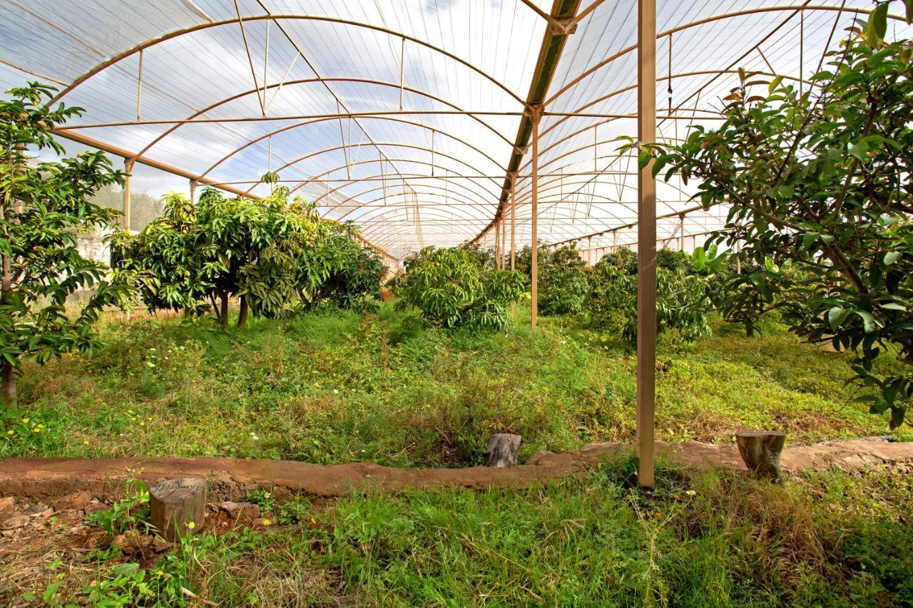 Finca Tropical Ινχένιο Εξωτερικό φωτογραφία